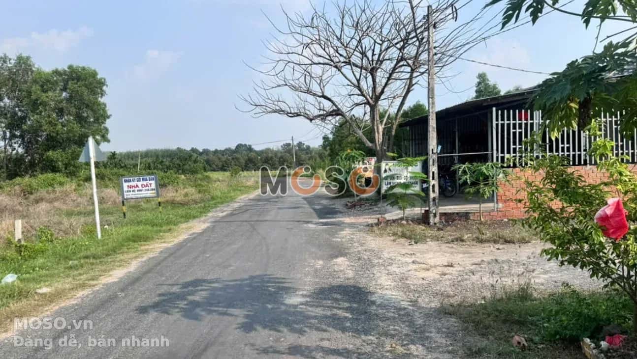 Bán đất Ấp Xóm Bố  Huyện Gò Dầu, Tây Ninh – giá 590 triệu - ảnh 3